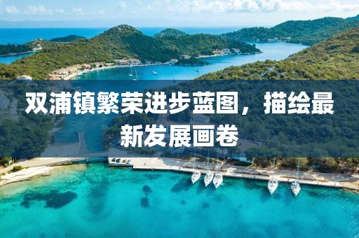 雙浦鎮(zhèn)繁榮進(jìn)步藍(lán)圖，描繪最新發(fā)展畫卷