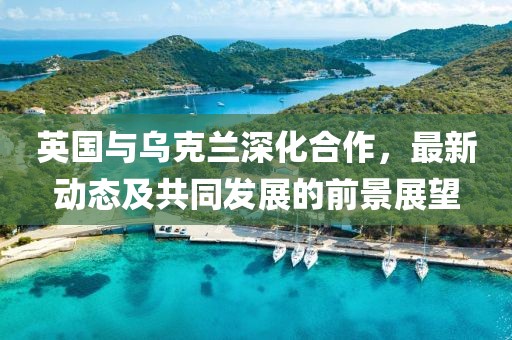 英國與烏克蘭深化合作，最新動態(tài)及共同發(fā)展的前景展望