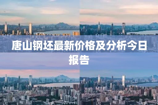 股票萬年青，穩(wěn)健與堅韌的象征，投資中的長青精神