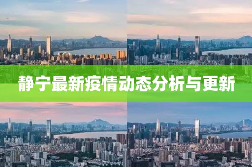 靜寧最新疫情動態(tài)分析與更新