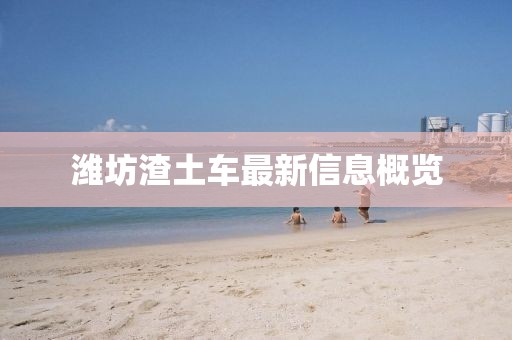 桂東最新資訊概覽，全方位解讀桂東動(dòng)態(tài)