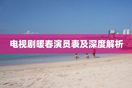 電視劇暖春演員表及深度解析