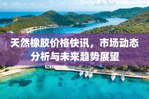 天然橡膠價格快訊，市場動態(tài)分析與未來趨勢展望