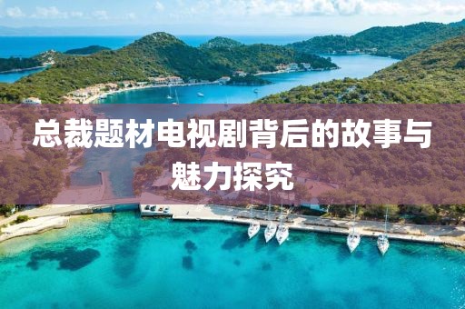 總裁題材電視劇背后的故事與魅力探究