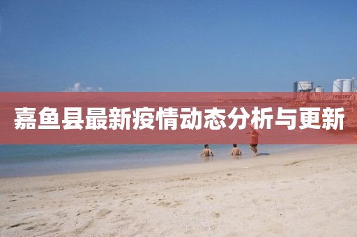 嘉魚縣最新疫情動態(tài)分析與更新