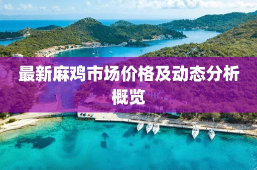最新麻雞市場(chǎng)價(jià)格及動(dòng)態(tài)分析概覽