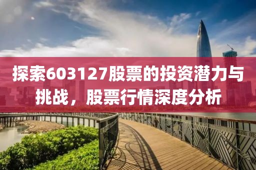 探索603127股票的投資潛力與挑戰(zhàn)，股票行情深度分析