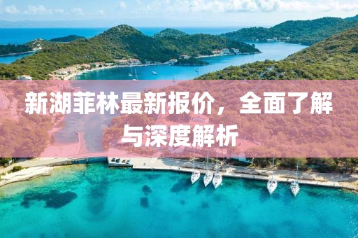 新湖菲林最新報(bào)價(jià)，全面了解與深度解析