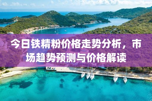 今日鐵精粉價格走勢分析，市場趨勢預(yù)測與價格解讀