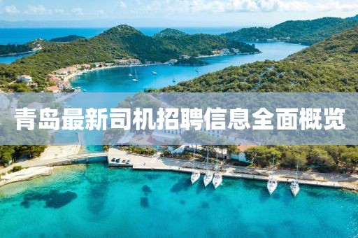 羊羊羊奶粉價(jià)格查詢詳解，全面指南與選購建議