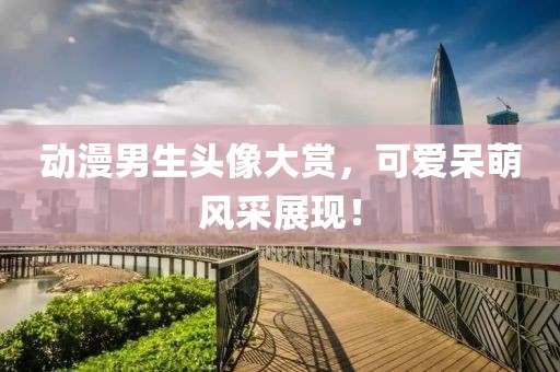 動(dòng)漫男生頭像大賞，可愛呆萌風(fēng)采展現(xiàn)！