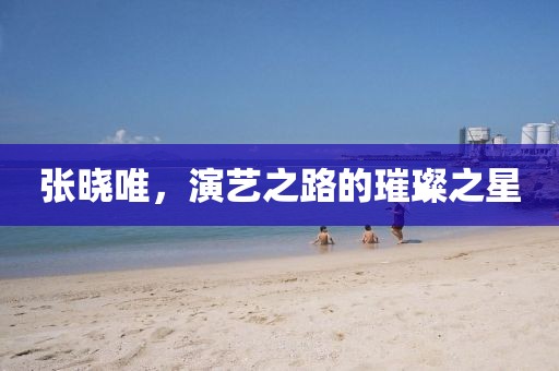 張曉唯，演藝之路的璀璨之星