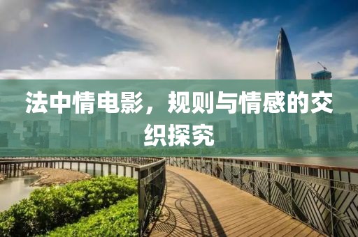 法中情電影，規(guī)則與情感的交織探究