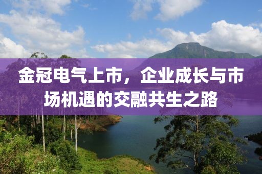 金冠電氣上市，企業(yè)成長(zhǎng)與市場(chǎng)機(jī)遇的交融共生之路