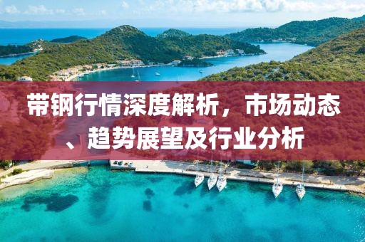 帶鋼行情深度解析，市場動(dòng)態(tài)、趨勢展望及行業(yè)分析