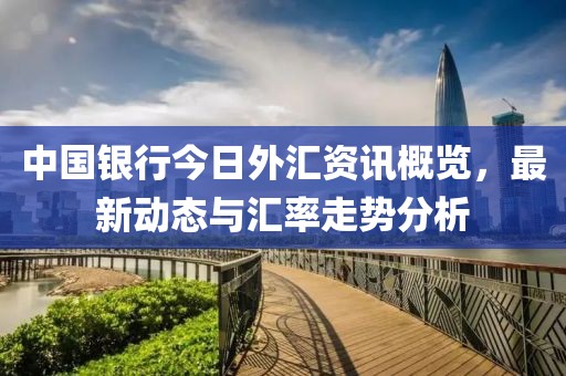 中國(guó)銀行今日外匯資訊概覽，最新動(dòng)態(tài)與匯率走勢(shì)分析