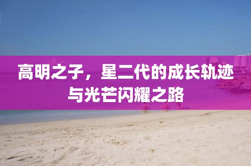 高明之子，星二代的成長(zhǎng)軌跡與光芒閃耀之路