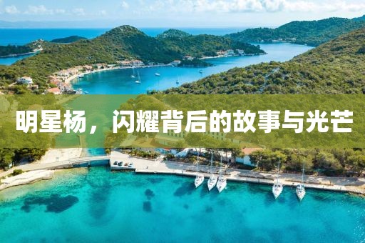 明星楊，閃耀背后的故事與光芒