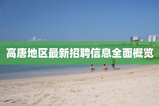 高唐地區(qū)最新招聘信息全面概覽