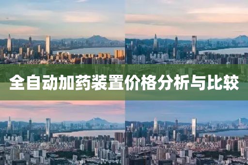 全自動(dòng)加藥裝置價(jià)格分析與比較