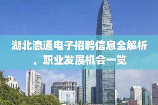 湖北瀛通電子招聘信息全解析，職業(yè)發(fā)展機(jī)會一覽