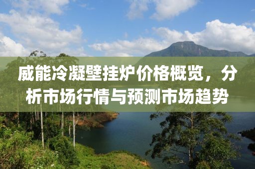 威能冷凝壁掛爐價格概覽，分析市場行情與預(yù)測市場趨勢