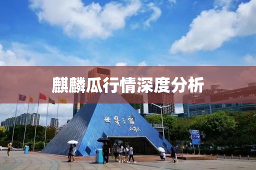麒麟瓜行情深度分析
