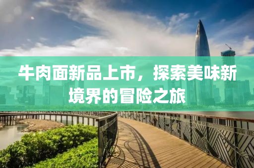牛肉面新品上市，探索美味新境界的冒險(xiǎn)之旅