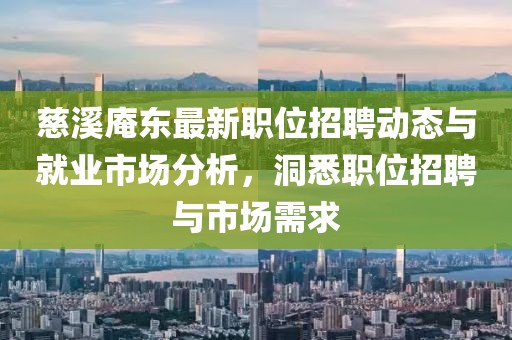 慈溪庵東最新職位招聘動態(tài)與就業(yè)市場分析，洞悉職位招聘與市場需求