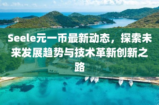 Seele元一幣最新動(dòng)態(tài)，探索未來(lái)發(fā)展趨勢(shì)與技術(shù)革新創(chuàng)新之路