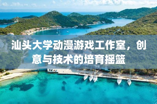 汕頭大學動漫游戲工作室，創(chuàng)意與技術的培育搖籃