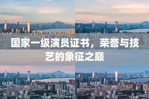 國家一級演員證書，榮譽與技藝的象征之巔