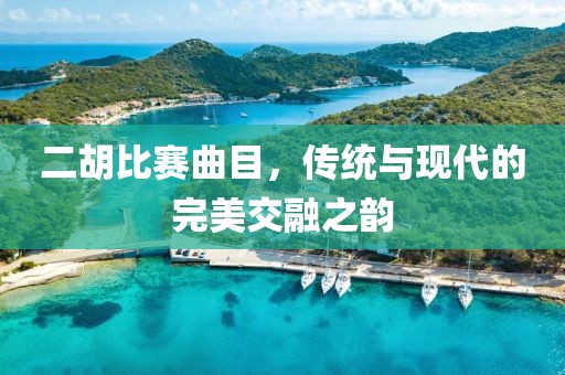 二胡比賽曲目，傳統(tǒng)與現(xiàn)代的完美交融之韻