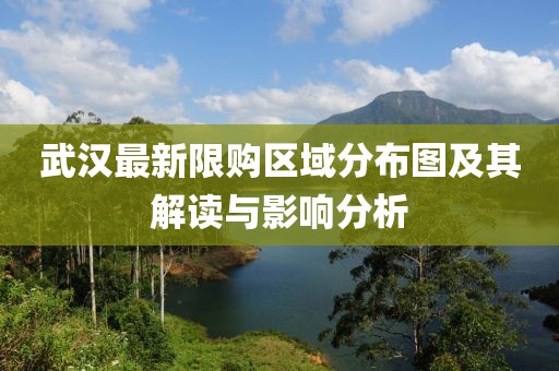 武漢最新限購(gòu)區(qū)域分布圖及其解讀與影響分析