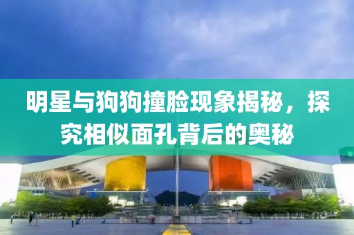 明星與狗狗撞臉現(xiàn)象揭秘，探究相似面孔背后的奧秘