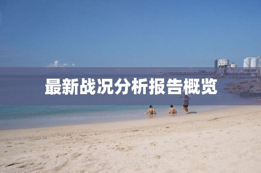 最新戰(zhàn)況分析報(bào)告概覽