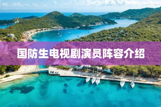 國(guó)防生電視劇演員陣容介紹