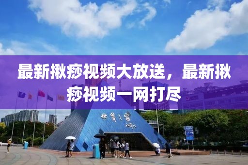 北京進出城最新動態(tài)，交通管理與城市規(guī)劃的協(xié)同進步進展報告