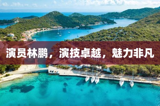 演員林鵬，演技卓越，魅力非凡