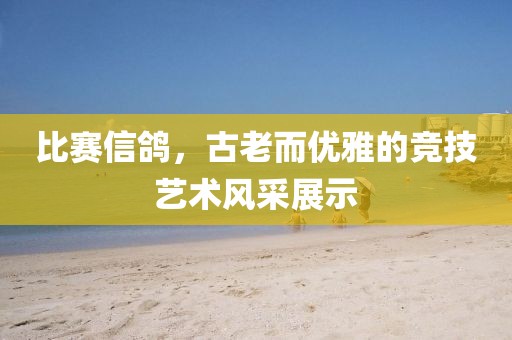 比賽信鴿，古老而優(yōu)雅的競技藝術(shù)風采展示