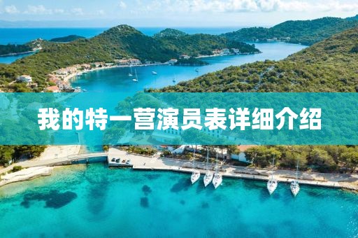 我的特一營(yíng)演員表詳細(xì)介紹