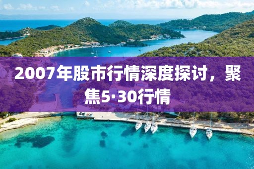 2007年股市行情深度探討，聚焦5·30行情
