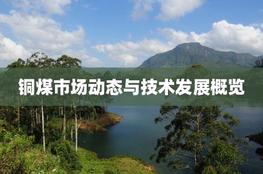 澳門天天彩資料大全 第15頁