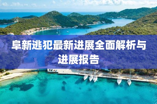 阜新逃犯最新進(jìn)展全面解析與進(jìn)展報(bào)告