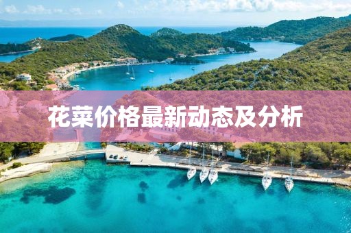 花菜價(jià)格最新動(dòng)態(tài)及分析