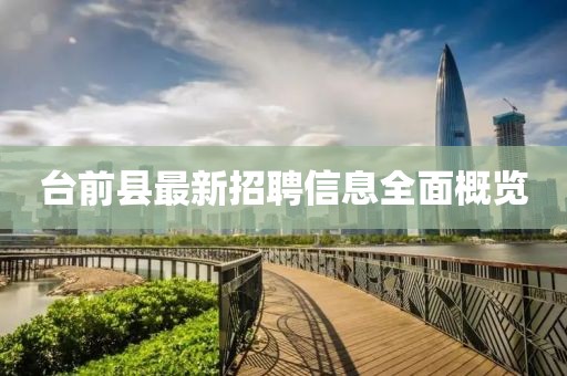 臺(tái)前縣最新招聘信息全面概覽