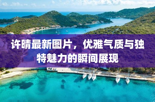 許晴最新圖片，優(yōu)雅氣質與獨特魅力的瞬間展現(xiàn)