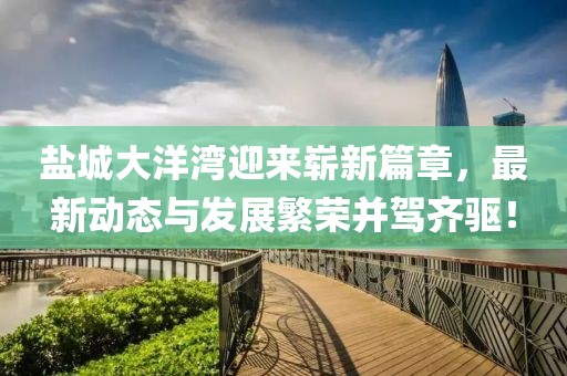 鹽城大洋灣迎來(lái)嶄新篇章，最新動(dòng)態(tài)與發(fā)展繁榮并駕齊驅(qū)！