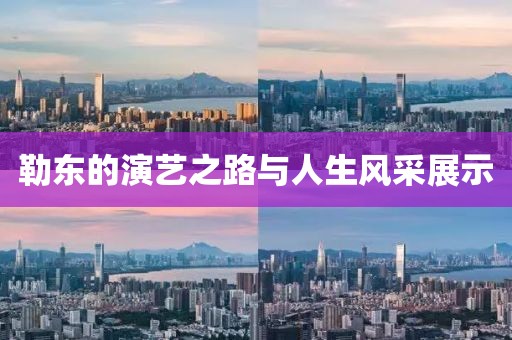 勒東的演藝之路與人生風(fēng)采展示