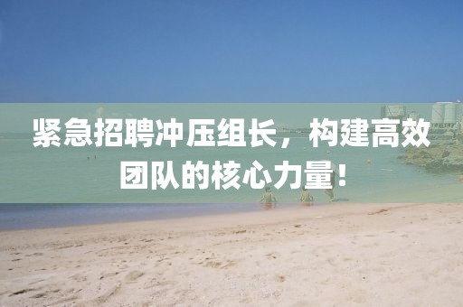 緊急招聘沖壓組長，構(gòu)建高效團(tuán)隊的核心力量！